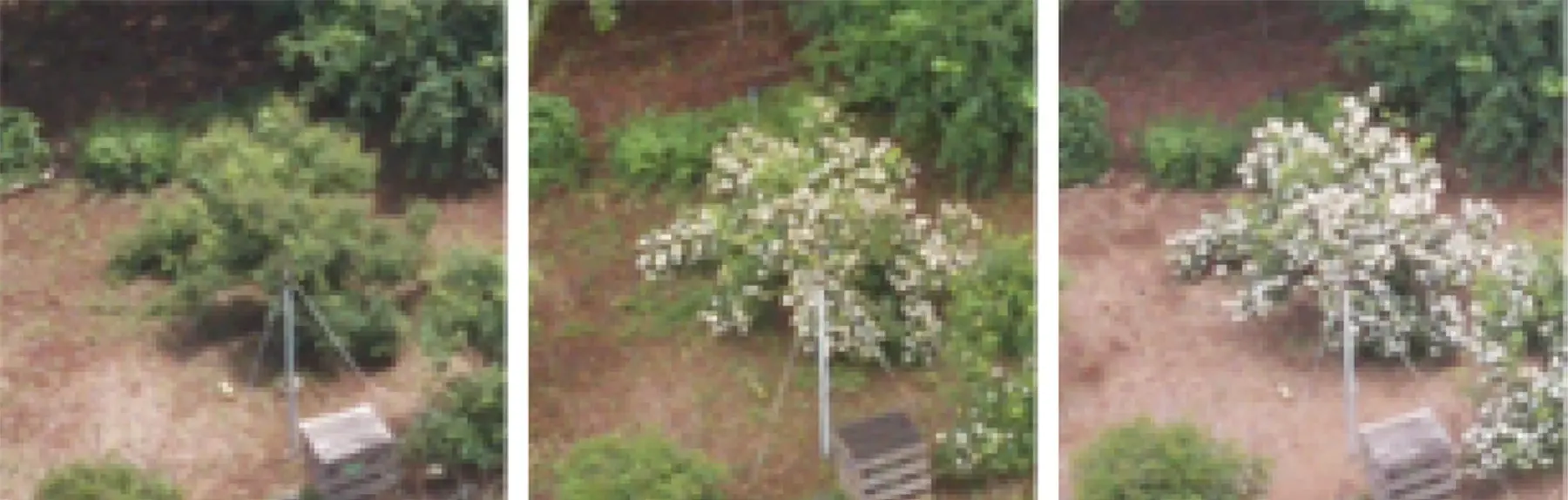 PENだよりについて