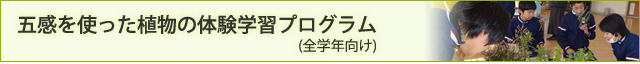 五感を使った植物の体験学習プログラム(全学年向け)