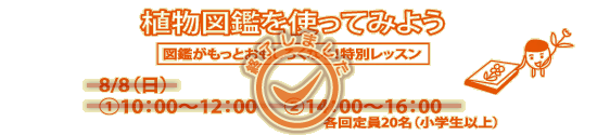 講座「植物図鑑を使ってみよう」8/8(日曜)1. 10:00~12:00、2. 14:00~16:00 (各回定員20名、小学生以上)
