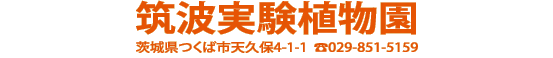 開催場所:筑波実験植物園(茨城県つくば市天久保4-1-1 TEL:029-851-5159)