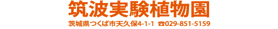 開催場所：筑波実験植物園（茨城県つくば市天久保4-1-1　TEL:029-851-5159）