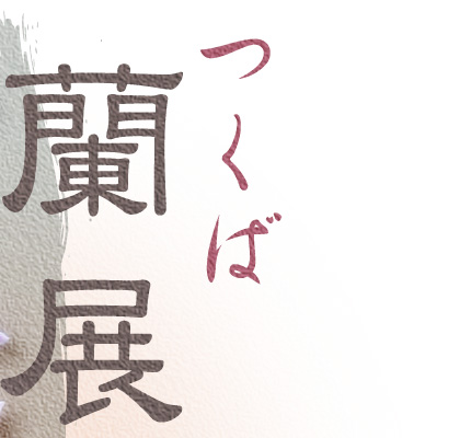 つくば蘭展