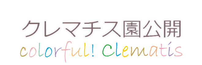 筑波実験植物園 「クレマチス園公開」(2011年)