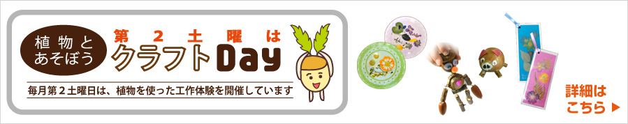 第二土曜はクラフトデー！植物を使った工作体験を開催しています