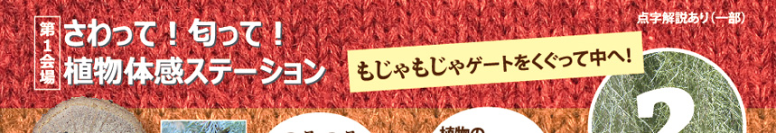 第一会場:さわって!匂って!植物体感ステーション
