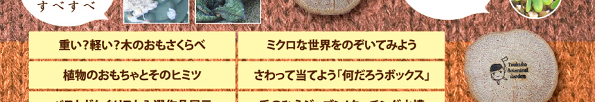 植物のおもちゃとそのヒミツ・さわって当てよう「何だろうボックス」・ベストどんぐりスト入選作品展示・手のひらジャブン!タッチング水槽