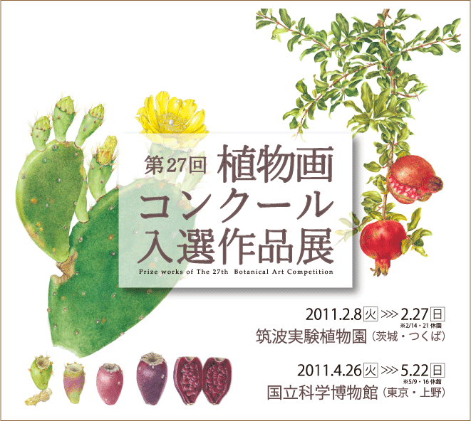 第27回植物画コンクール入選作品展を開催します。筑波実験植物園にて2011年2月8日から27日まで。国立科学博物館にて2011年4月26日から5月22日まで。