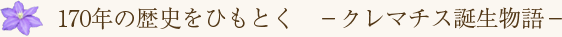 170年の歴史をひもとく ‐クレマチス誕生物語‐