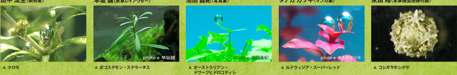 水草写真:田中法生(研究者)早坂誠(水草レイアウター)池田晶紀(写真家)タナカカツキ(マンガ家)永田翔(水草保全団体代表)