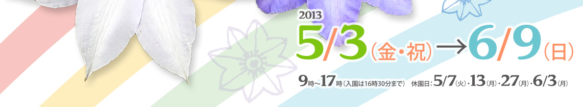 クレマチス園公開は、5月3日～6月9日です