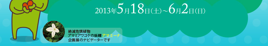 2013年5月18日(土)~6月2日(日)