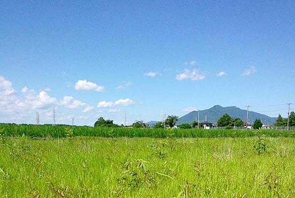 茨城の自然の風景と筑波山