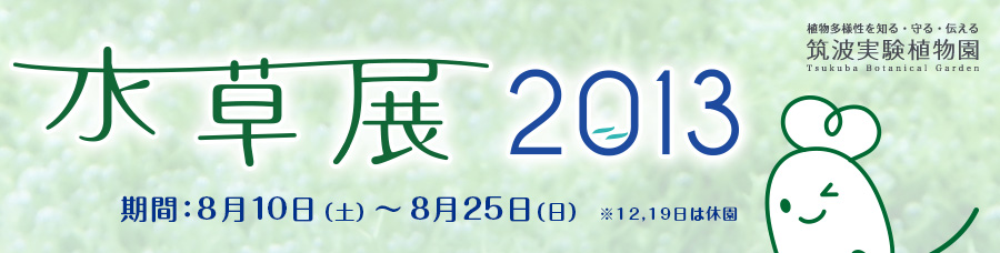 「水草展 2013」開催期間：8月10日（土）～8月25日（日）※12日と19日は休園