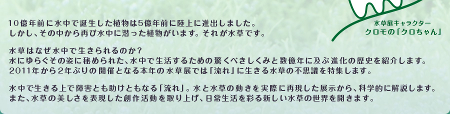 10億年前に水中で誕生した植物は5億年前に陸上に進出しました。しかし、その中から再び水中に潜った植物がいます。それが水草です。水草はなぜ水中で生きられるのか?水にゆらぐその姿に秘められた、水中で生活するための驚くべきしくみと数億年に及ぶ進化の歴史を紹介します。