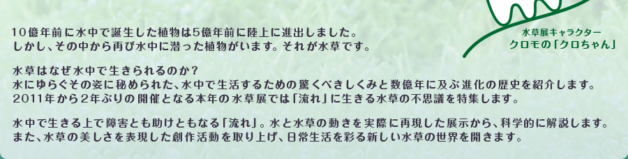 10億年前に水中で誕生した植物は5億年前に陸上に進出しました。しかし、その中から再び水中に潜った植物がいます。それが水草です。水草はなぜ水中で生きられるのか？水にゆらぐその姿に秘められた、水中で生活するための驚くべきしくみと数億年に及ぶ進化の歴史を紹介します。