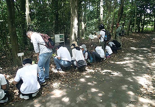 観察会の風景