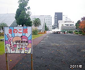 きのこ展2011