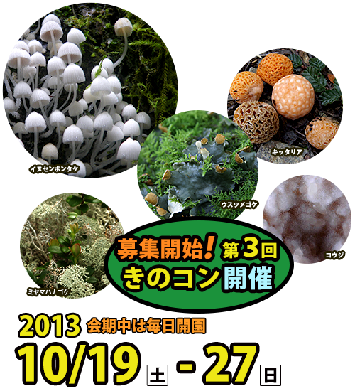 こうじときのこが手をつなぐ!?「きのこ展2013」
