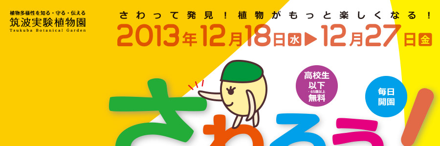 さわって発見！ 植物画もっと楽しくなる。2013年12月18日（水）～12月27日（金）筑波実験植物園