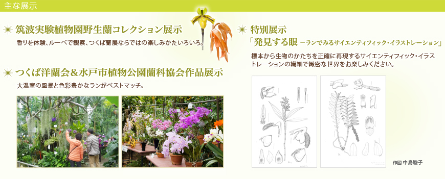 展示