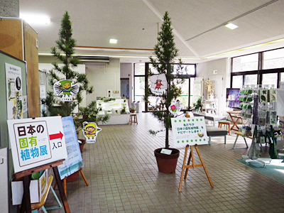 日本固有の植物展2013の様子1
