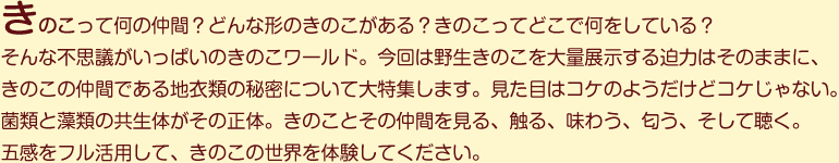 きのこって何の仲間?どんな形のきのこがある?きのこってどこで何をしている?そんな不思議がいっぱいのきのこワールド。今回は野生きのこを大量展示する迫力はそのままに、きのこの仲間である地衣類の秘密について大特集します。見た目はコケのようだけどコケじゃない。菌類と藻類の共生体がその正体。きのことその仲間を見る、触る、味わう、匂う、そして聴く。五感をフル活用して、きのこの世界を体験してください。