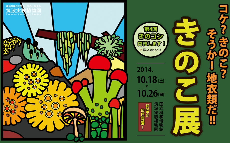 きのこ展2014 コケ?きのこ?そうか!地衣類だ