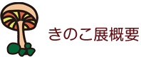 きのこ展概要
