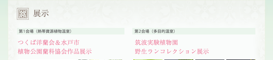 展示 「植物公園蘭科協会作」「野生ランコレクション」