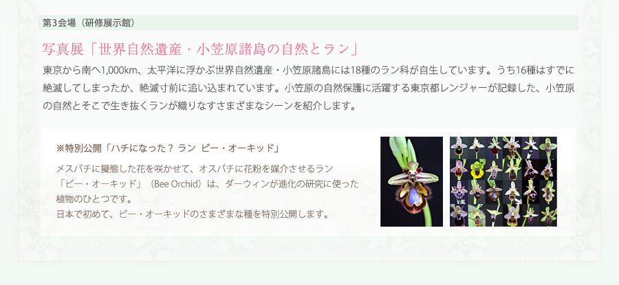 「世界自然遺産・小笠原諸島の自然とラン」東京から南へ1,000km、太平洋に浮かぶ世界自然遺産・小笠原諸島には18 種のラン科が自生しています。うち16種はすでに絶滅してしまったか、絶滅寸前に追い込まれています。小笠原の自然保護に活躍する東京都レンジャーが記録した、小笠原の自然とそこで生き抜くランが織り
なすさまざまなシーンを紹介します。