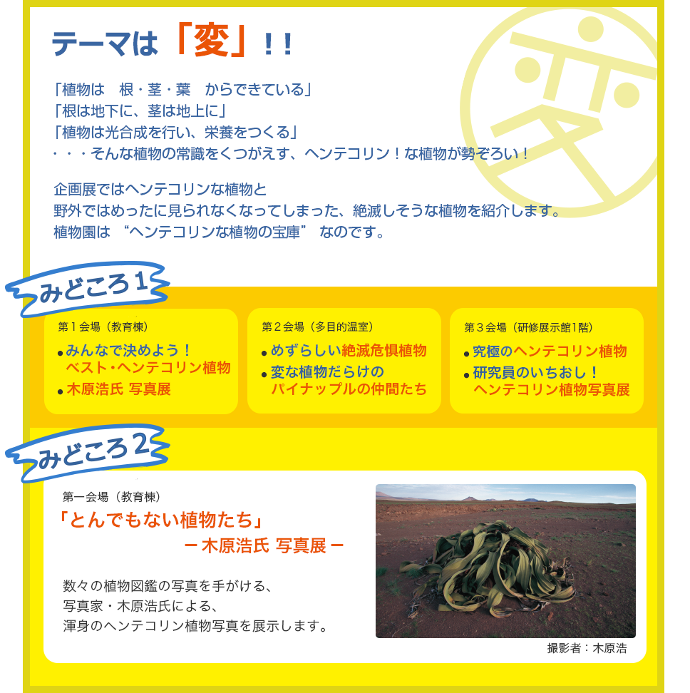 テーマは変!「植物は 根・茎・葉 からできている」「根は地下に、茎は地上に」「植物は光合成を行い、栄養をつくる」        
・・・そんな植物の常識をくつがえす、ヘンテコリン!な植物が勢ぞろい!企画展ではヘンテコリンな植物と
野外ではめったに見れなくなってしまっためずらしい絶滅危惧植物をご紹介します。
じつは、植物園は “ヘンテコリンな植物の宝庫” なのです。