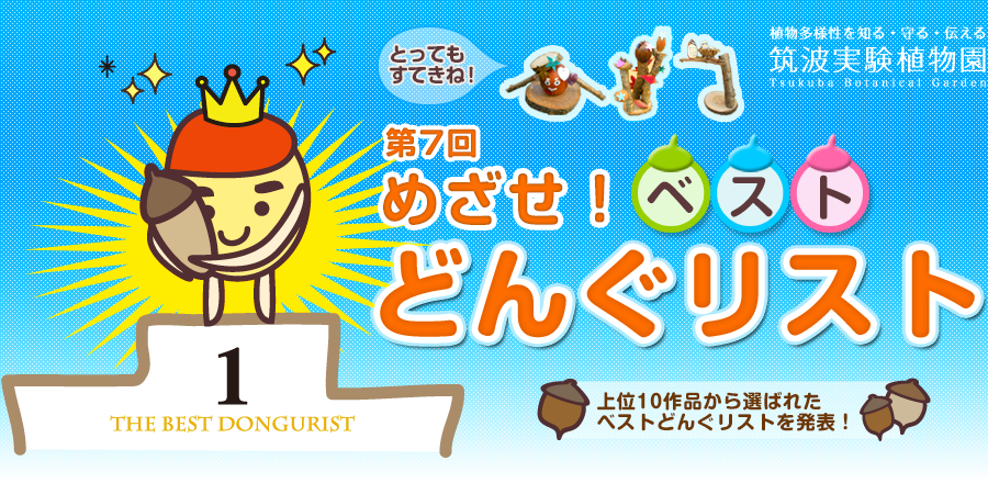 第7回 めざせ!ベストどんぐリスト2017 - 筑波実験植物園