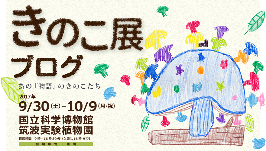 きのこ展2017 ―あの『物語』のきのこたち― ブログ