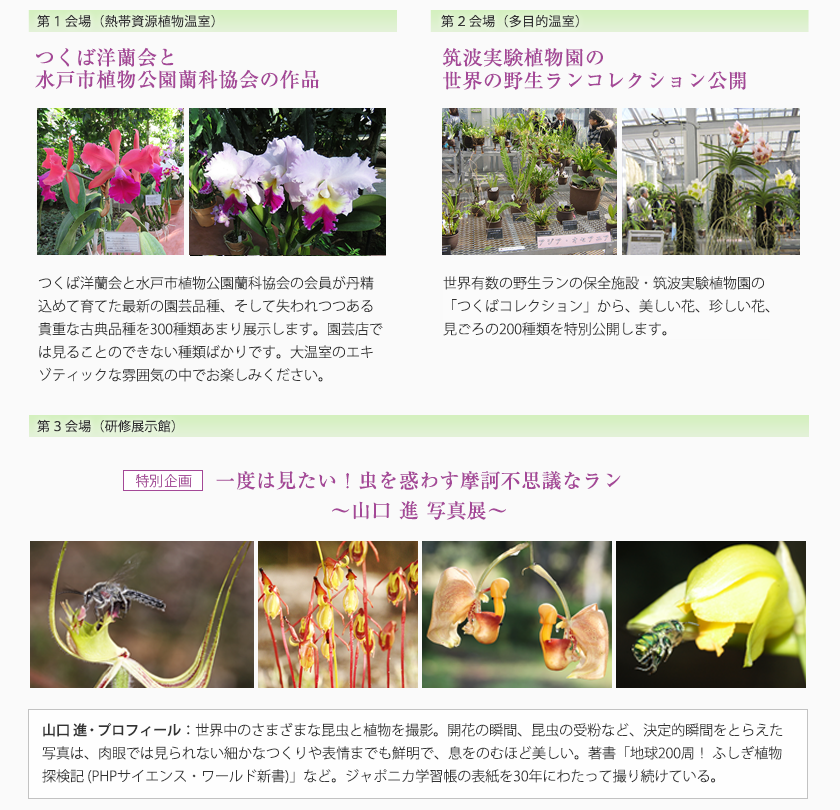 第1会場 つくば洋蘭会と水戸植物公園蘭科協会の作品 第2会場 筑波実験植物園の世界の野生ランコレクション公開 第3会場 特別企画 一度は見たい!虫を惑わす摩訶不思議なラン 山口進写真展
