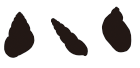 陸貝