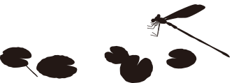 トンボ