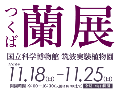 つくば蘭展2018　国立科学博物館　筑波実験植物園　会期：2018年11月18日～11月25日