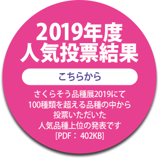 2019年度人気投票結果PDFファイル