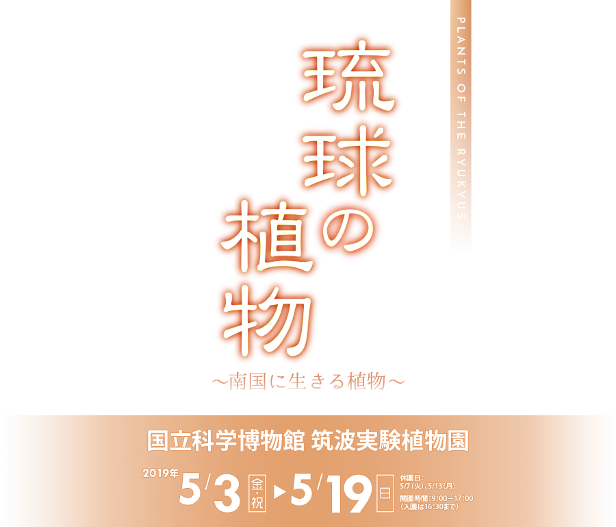 琉球の植物~南国に生きる植物~