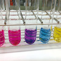 色水実験の様子