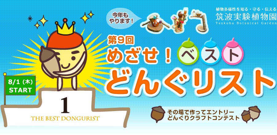 第9回 めざせ!ベストどんぐリスト2019 - 筑波実験植物園