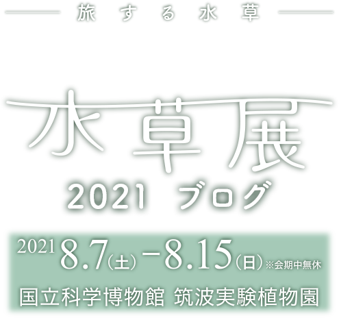 水草展2021ブログ