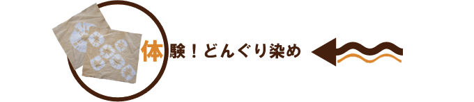 Event3:体験!どんぐり染め