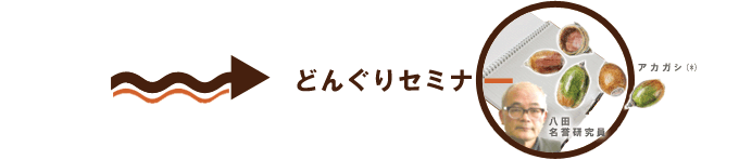 Event4:どんぐりセミナー