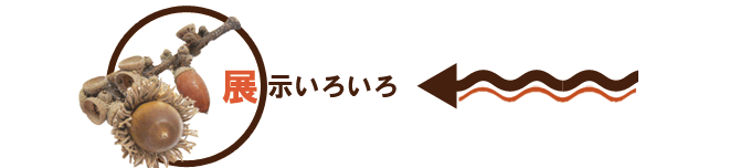 Event5:展示いろいろ