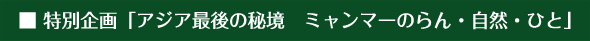 Sub Title: 特別企画「アジア最後の秘境 ミャンマーのらん・自然・ひと」