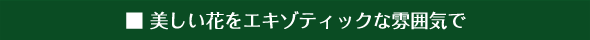 Sub Title:美しい花をエキゾティックな雰囲気で