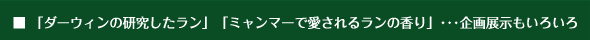 Sub Title:「ダーウィンの研究したラン」「ミャンマーで愛されるランの香り」・・・企画展示もいろいろ