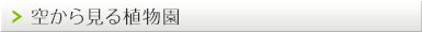 空から見る植物園